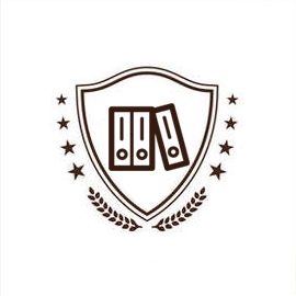  政府与公共法律服务